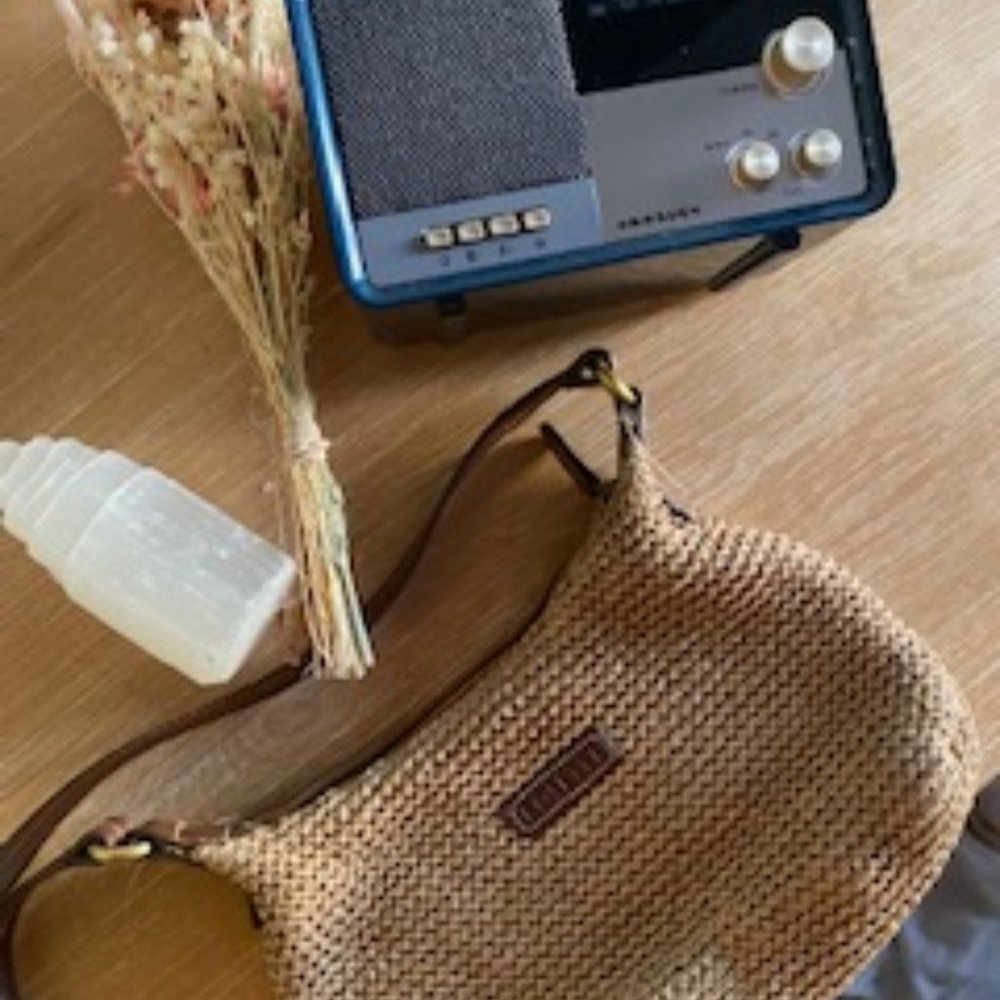 Brown Purse or Bag
